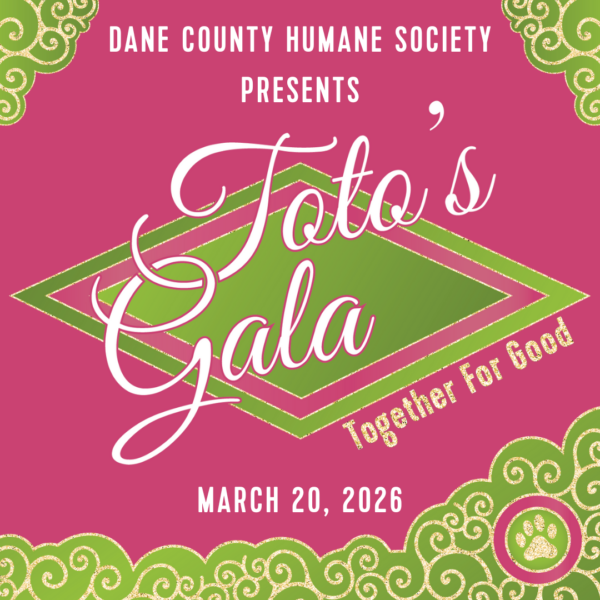 Toto's Gala